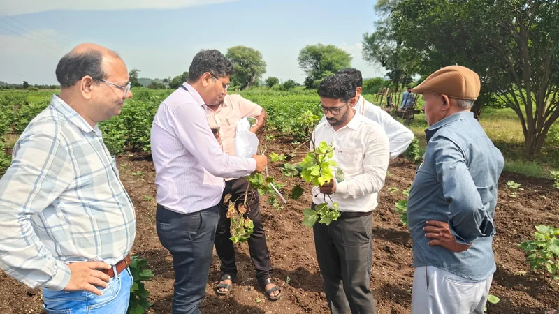 आगामी रबी सीजन में कम पानी वाली फसलों को अपनाने किसानों को दी सलाह